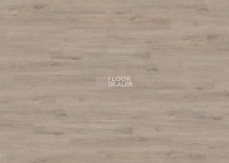 Ламинат Haro Tritty 200 Aqua 4V ДУБ ВЕНЕТО МОККА 537373 фото 1 | FLOORDEALER